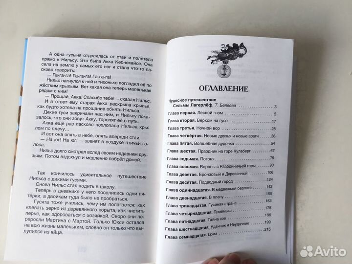 Приключения Нильса с дикими гусями