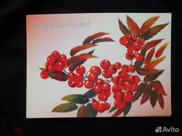Открытка СССР 