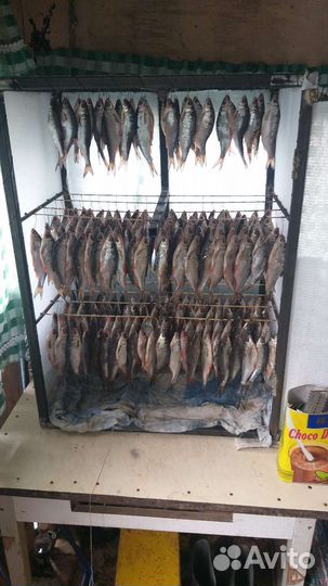 Сушилка для рыбы, мяса
