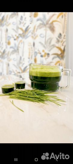 Витграсс сок