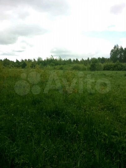 Участок 4,6 га (СНТ, ДНП)