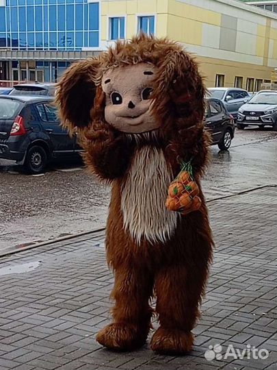 Экспресс поздравление Ушастик ростовая кукла