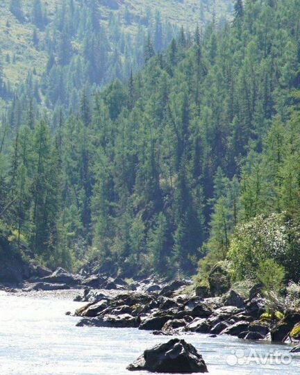 Другой Алтай