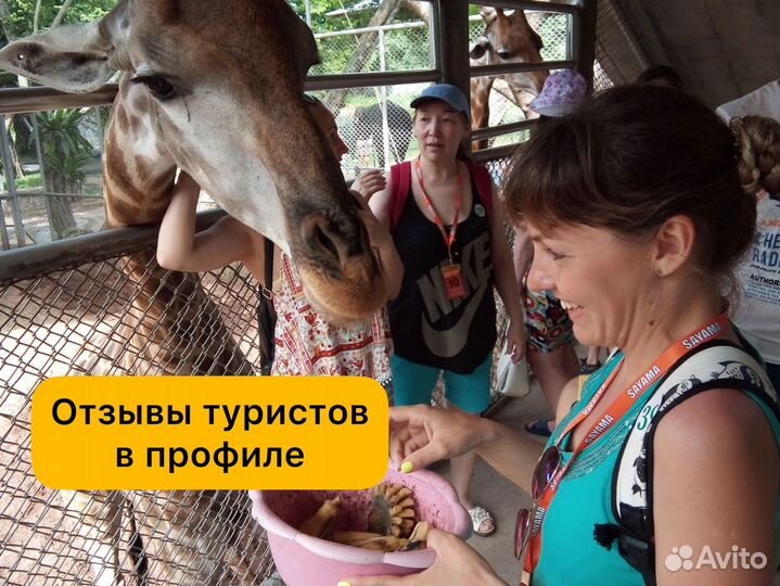 Горящие туры в Тайланд Путевки Туры