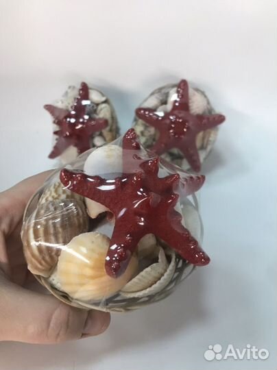 Набор ракушек для поделок