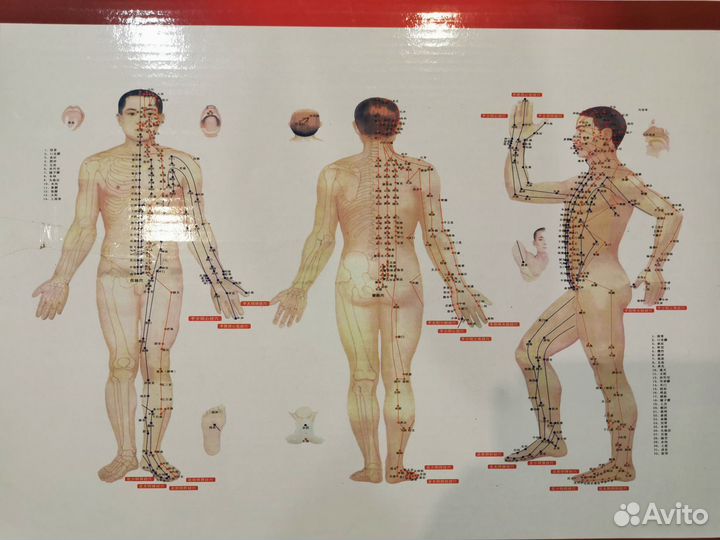 Вакуумные банки для массажа, хиджама