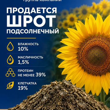 Шрот подсолнечный