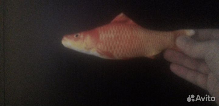 Диобетик, Игрушка - рыбка для кошек, собак Новая