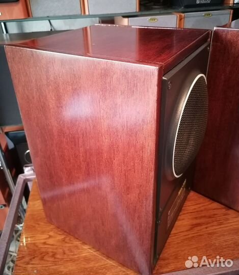 Колонки 10ас-203