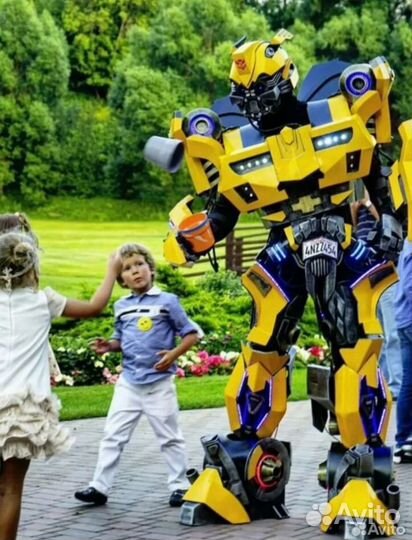 Аниматоры, шоу программы