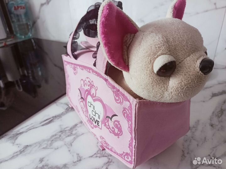 Собака чичилав