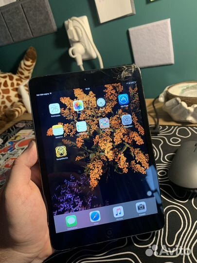 iPad mini