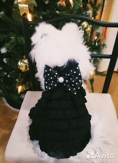 Индивидуальный пошив одежды для собак, кошек