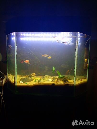 Аквариум с тумбой 150 литров