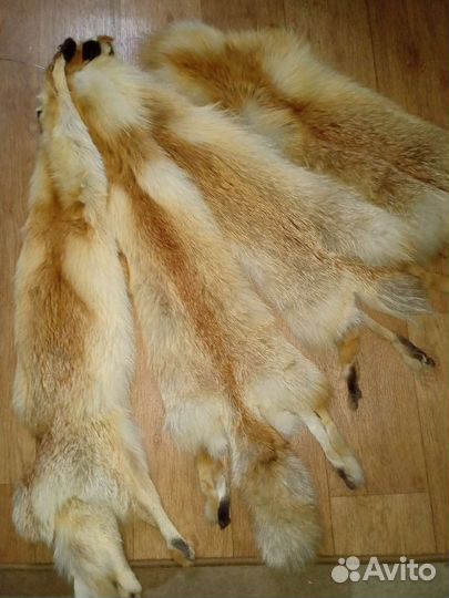 Шкуры лисы