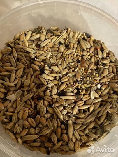 Корм для животных