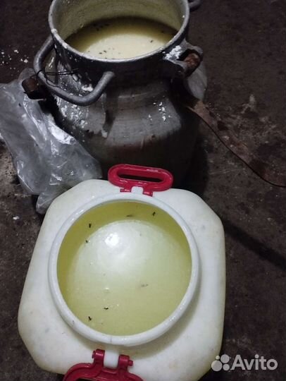 Сыворотка и молочные отходы для свиней