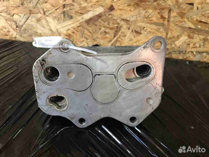 Радиатор масляный Volkswagen V (2005—2011) 06D 117