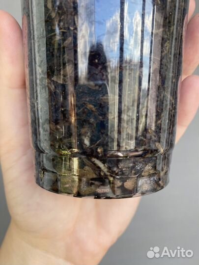 Антуриум сильвер блаш