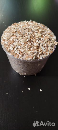 Яичная скорлупа