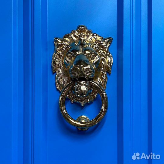 Парадная металлическая дверь в дом DD-097