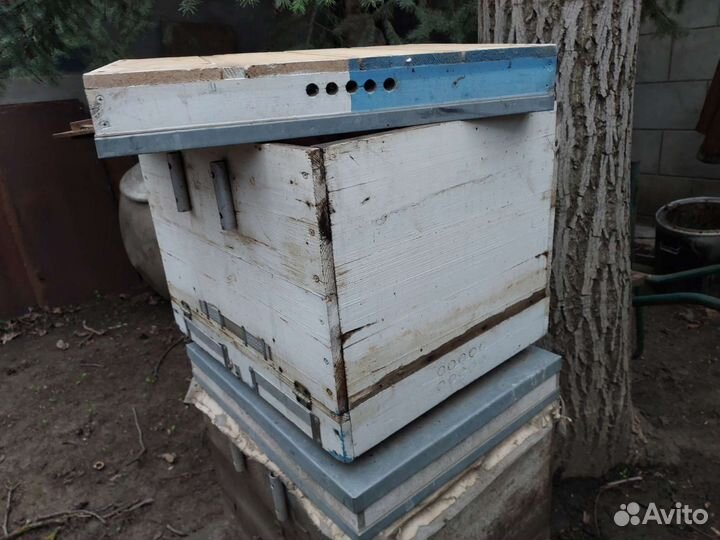 Улей для пчел