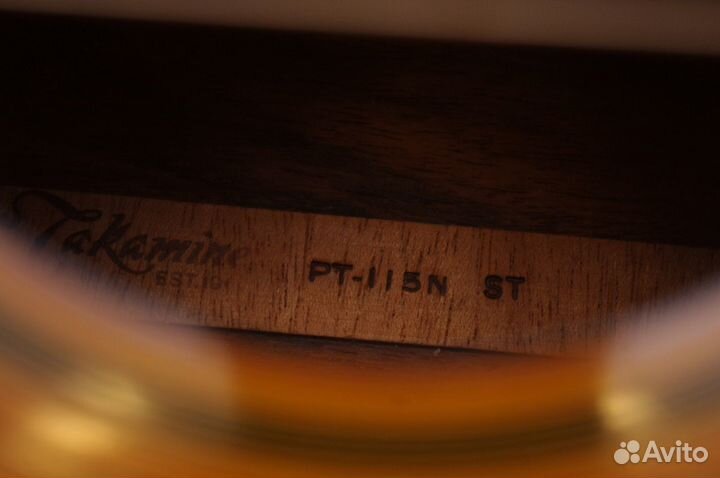Электроакустика нейлон Takamine PT-115N.Japan.Кeйс