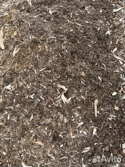 Конский навоз и перегной бесплатно