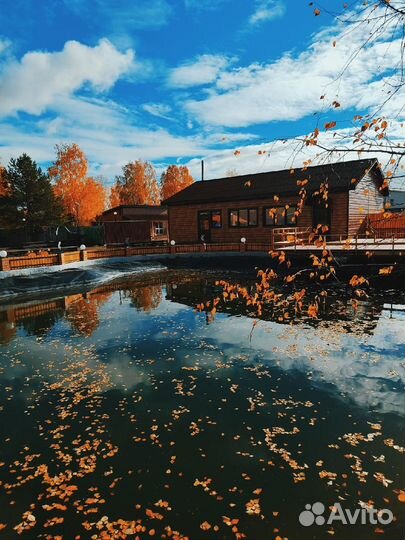 22сен24 Гастротур: 