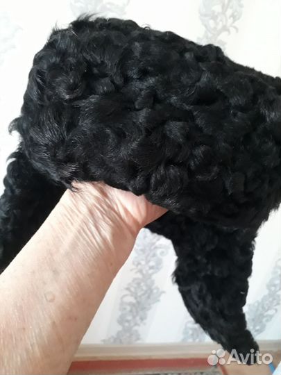 Меховой воротник норка, песец, шапка каракулевая