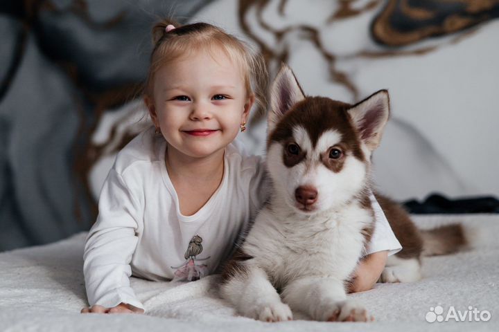 Фотосессия