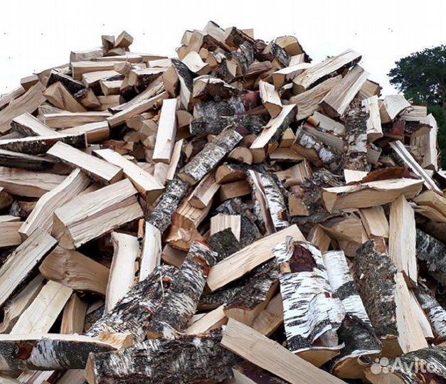 Дрова береза