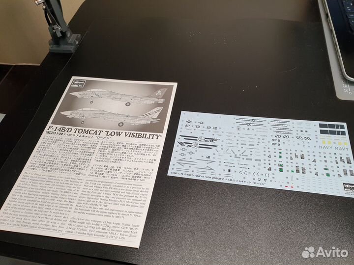 Hasegawa 01945 F-14B/D 