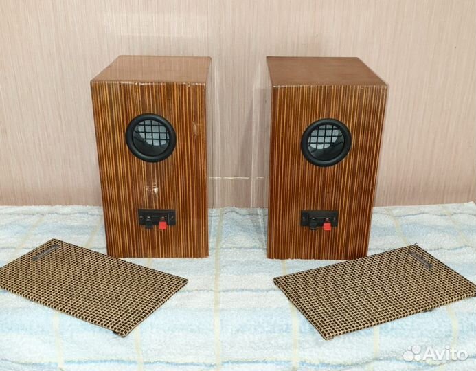 Колонки на динамиках 10гд-34 и 3гд-31