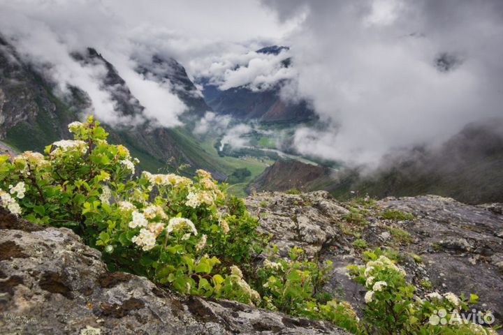 Авторский тур на Алтай