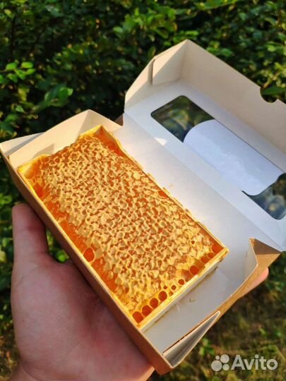 Мёд в сотах, сотовый мед