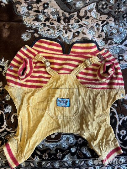 Одежда для собак мелких пород