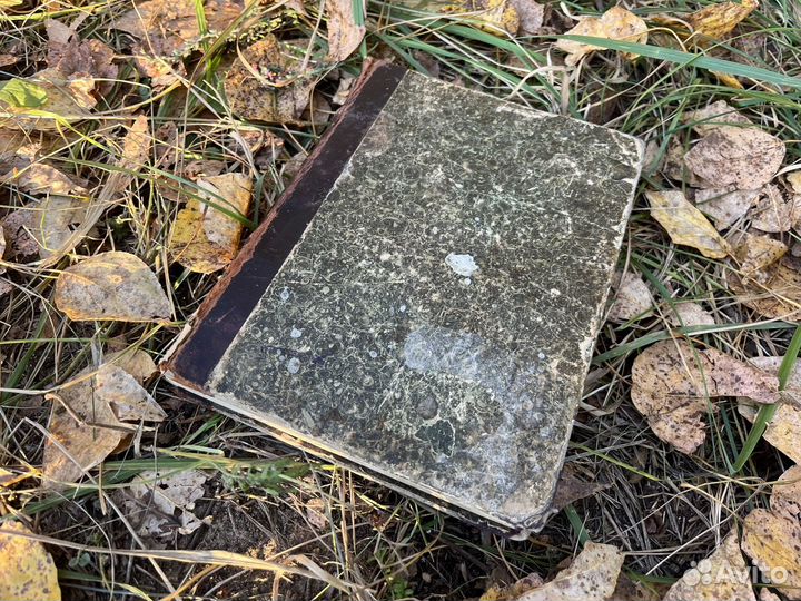 Толковая поваренная книга 1909год