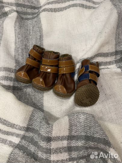 Ботинки для маленьких собак