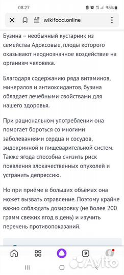 Бузина черная лекарственная