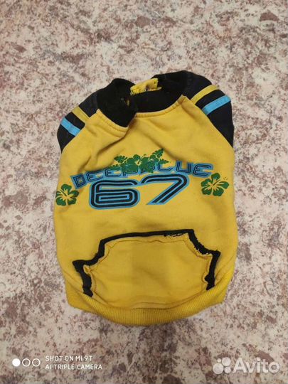 Одежда для собак