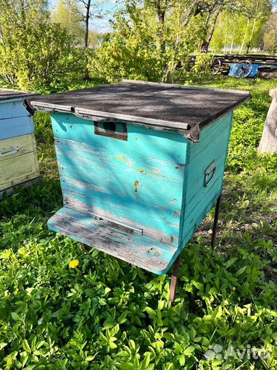 Улей для пчел бу