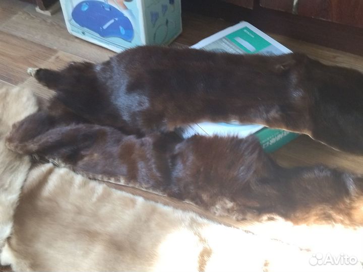 Шкурки зверьков ценных пород