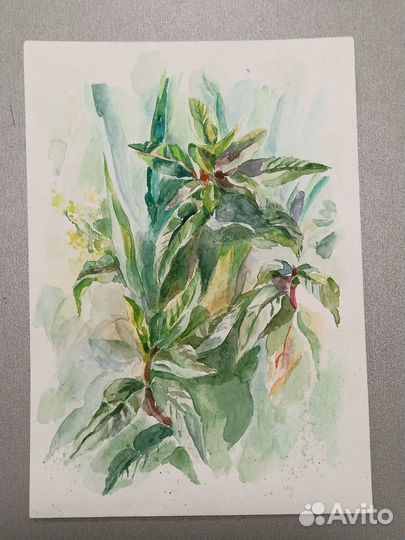 Картины на заказ