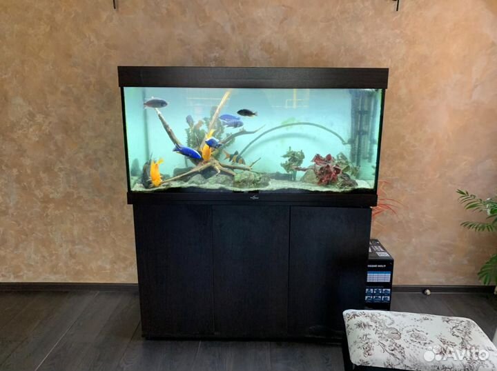 Аквариум
