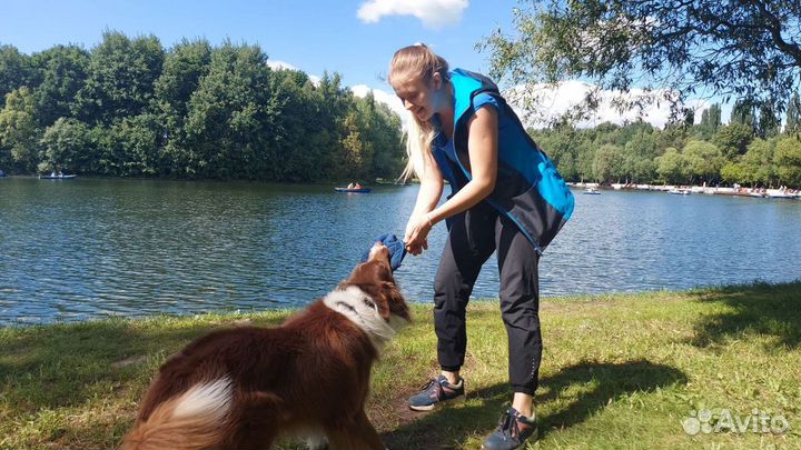 Кинолог. Воспитание и дрессировка собак