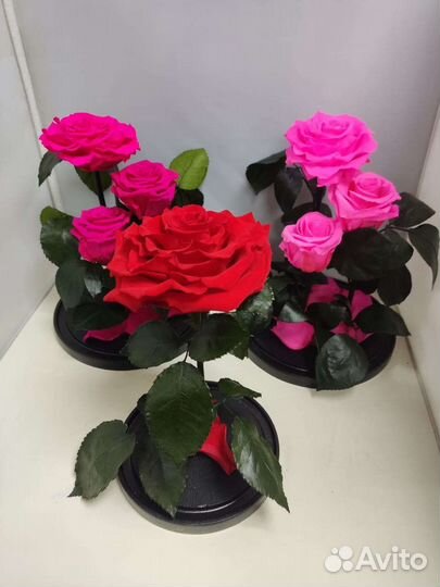 Подарок маме/ Роза в колбе