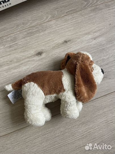 Собака Hush Pappies бассет хаунд (США)