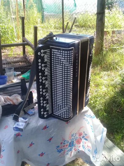 Баян рубин 7