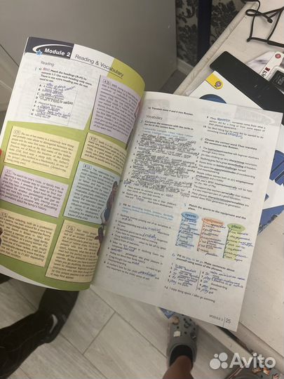 Учебник и рабочая тетрадь starlight 11